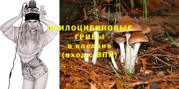 прущий лед Краснослободск