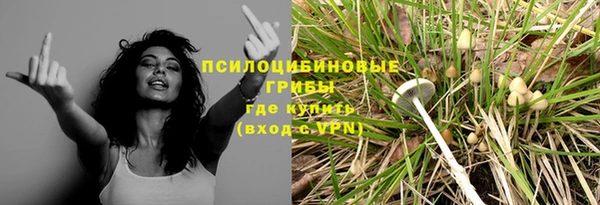не бодяженный Краснотурьинск