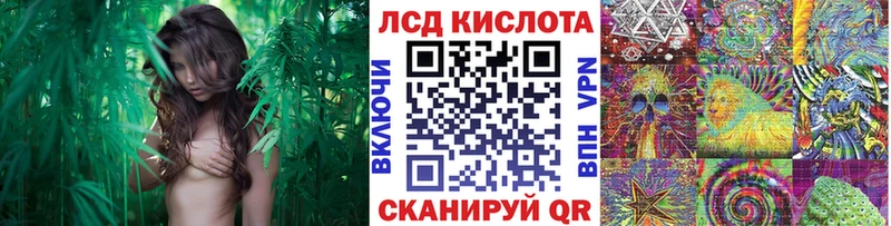 Наркотические марки 1,8мг  Купить  Кумертау 