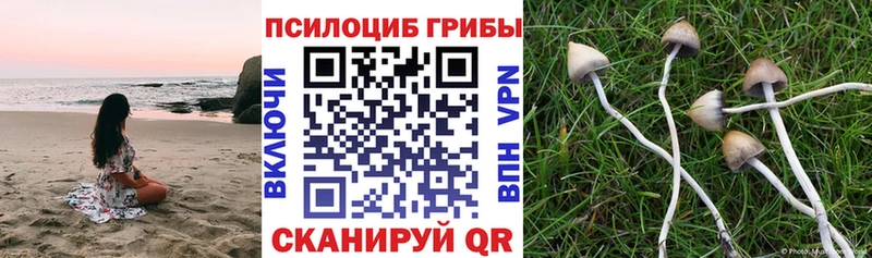 Купить закладки  Кумертау  Галлюциногенные грибы мицелий 
